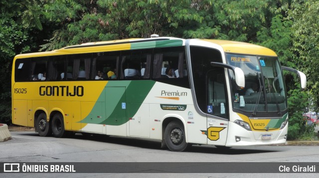 Empresa Gontijo de Transportes 15025 na cidade de São Paulo, São Paulo, Brasil, por Cle Giraldi. Número da foto: #12131145.