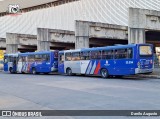 Transportes Capellini 32.034 na cidade de Campinas, São Paulo, Brasil, por Danilo Augusto. Número da foto: #12130240.