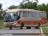 Auto Viação Goianésia 176003-2 na cidade de Brasília, Distrito Federal, Brasil, por Diego Alarcon. Número da foto: #12131942.