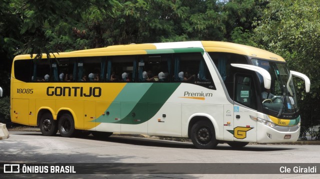 Empresa Gontijo de Transportes 18085 na cidade de São Paulo, São Paulo, Brasil, por Cle Giraldi. Número da foto: #12132429.