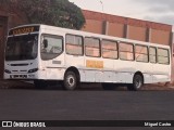 Transporte Rural 7800 na cidade de Severínia, São Paulo, Brasil, por Miguel Castro. Número da foto: #12132722.
