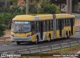 Transportes Capellini 32795 na cidade de Monte Mor, São Paulo, Brasil, por Henrique Alves de Paula Silva. Número da foto: #12134224.