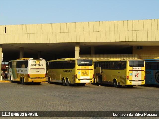 Empresa Gontijo de Transportes 17175 na cidade de Caruaru, Pernambuco, Brasil, por Lenilson da Silva Pessoa. Número da foto: #12070222.