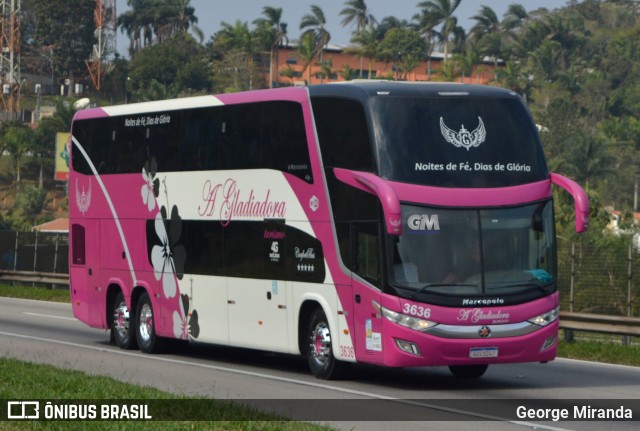 A Gladiadora Turismo 3636 na cidade de Santa Isabel, São Paulo, Brasil, por George Miranda. Número da foto: #12070204.