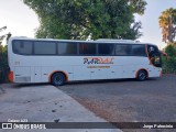 Pardal Locadora e Transporte - MRC Pinto Locadora e Veículo ME 231 na cidade de Santo Antônio de Posse, São Paulo, Brasil, por Jorge Patrocinio. Número da foto: #:id.