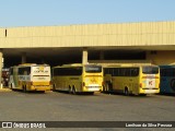 Empresa Gontijo de Transportes 17175 na cidade de Caruaru, Pernambuco, Brasil, por Lenilson da Silva Pessoa. Número da foto: #12070222.
