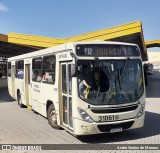 Viação Nobel 31061 na cidade de Fazenda Rio Grande, Paraná, Brasil, por Andre Santos de Moraes. Número da foto: #12068580.
