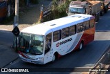 Rouxinol 111 na cidade de Betim, Minas Gerais, Brasil, por Rodrigo Barraza. Número da foto: #:id.