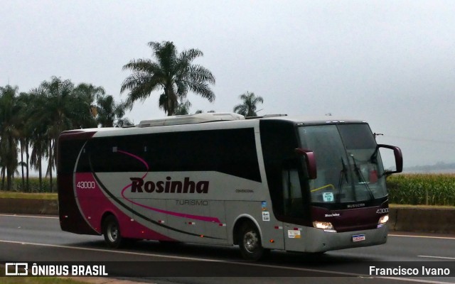 Rosinha Turismo 43000 na cidade de Assis, São Paulo, Brasil, por Francisco Ivano. Número da foto: #12134610.