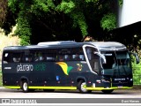 Pássaro Verde 23182 na cidade de Ponte Nova, Minas Gerais, Brasil, por Davi Neves. Número da foto: #12136226.