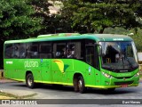Pássaro Verde 19168 na cidade de Ponte Nova, Minas Gerais, Brasil, por Davi Neves. Número da foto: #12136219.