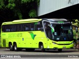 Pássaro Verde 24185 na cidade de Ponte Nova, Minas Gerais, Brasil, por Davi Neves. Número da foto: #12136235.