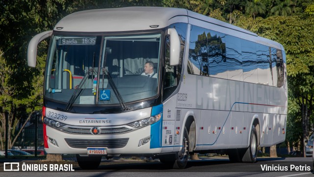 Auto Viação Catarinense 323239 na cidade de Joinville, Santa Catarina, Brasil, por Vinicius Petris. Número da foto: #12136984.
