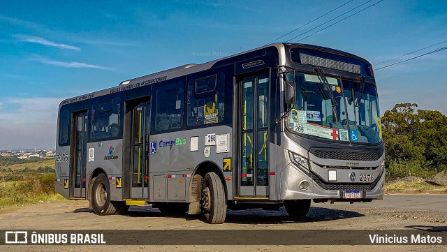 Expresso CampiBus 2376 na cidade de Campinas, São Paulo, Brasil, por Vinicius Matos. Número da foto: #12137735.