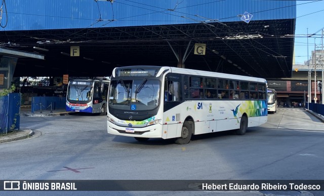 Viação Guaianazes 01 508 na cidade de Santo André, São Paulo, Brasil, por Hebert Eduardo Ribeiro Todesco. Número da foto: #12137006.