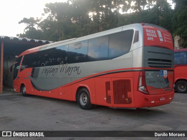 Empresa de Ônibus Pássaro Marron 5946 na cidade de Campos do Jordão, São Paulo, Brasil, por Danilo Moraes. Número da foto: #12072623.