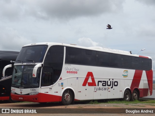 Araújo Turismo 1309 na cidade de Trindade, Goiás, Brasil, por Douglas Andrez. Número da foto: #12071113.