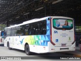 Viação Guaianazes 01 139 na cidade de Santo André, São Paulo, Brasil, por Fabrício Portella Matos. Número da foto: #12072479.