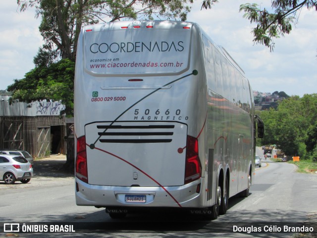 Companhia Coordenadas de Transportes 50660 na cidade de Belo Horizonte, Minas Gerais, Brasil, por Douglas Célio Brandao. Número da foto: #12073854.