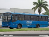 Biguaçu Transportes Coletivos Administração e Participação 461 na cidade de Florianópolis, Santa Catarina, Brasil, por Cleiton Rodrigues. Número da foto: #12074124.