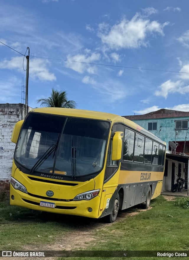 Escolares 085 na cidade de Sobral, Ceará, Brasil, por Rodrigo Costa. Número da foto: #12077188.