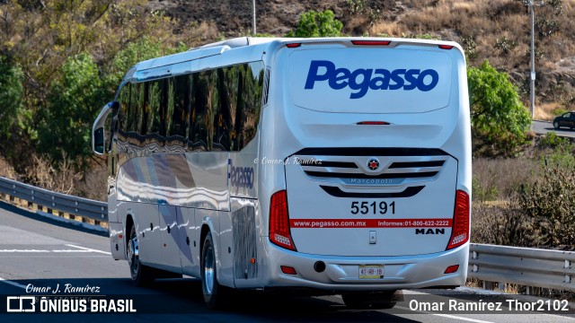 Pegasso 55191 na cidade de Huehuetoca, Estado de México, México, por Omar Ramírez Thor2102. Número da foto: #12076856.