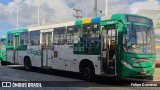 OT Trans - Ótima Salvador Transportes 21013 na cidade de Salvador, Bahia, Brasil, por Felipe Damásio. Número da foto: #12075860.