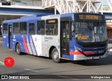 Transportes Capellini 32.771 na cidade de Americana, São Paulo, Brasil, por Wellington Lima. Número da foto: #12075795.