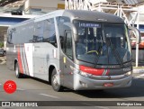 Transportes Capellini 15008 na cidade de Americana, São Paulo, Brasil, por Wellington Lima. Número da foto: #12075787.