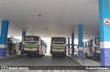Transportes Mageli RJ 167.068 na cidade de São João de Meriti, Rio de Janeiro, Brasil, por Matheus Fernandes. Número da foto: #12076883.