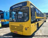 Escolares 893 na cidade de Ipatinga, Minas Gerais, Brasil, por Vicente de Paulo Alves. Número da foto: #12075903.