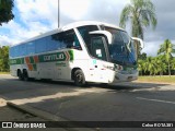 Empresa Gontijo de Transportes 21625 na cidade de Ipatinga, Minas Gerais, Brasil, por Celso ROTA381. Número da foto: #12078438.