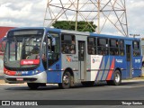 Viação Boa Vista BV-787 na cidade de Hortolândia, São Paulo, Brasil, por Thiago Santos. Número da foto: #12080027.