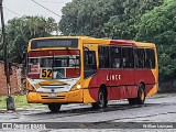 Lince 20 na cidade de Asunción, Paraguai, por Willian Lezcano. Número da foto: #12079499.