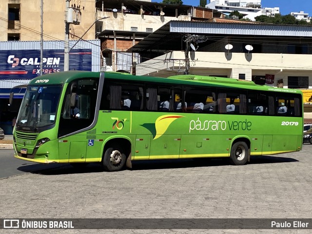 Pássaro Verde 20179 na cidade de Manhuaçu, Minas Gerais, Brasil, por Paulo Eller. Número da foto: #12081379.