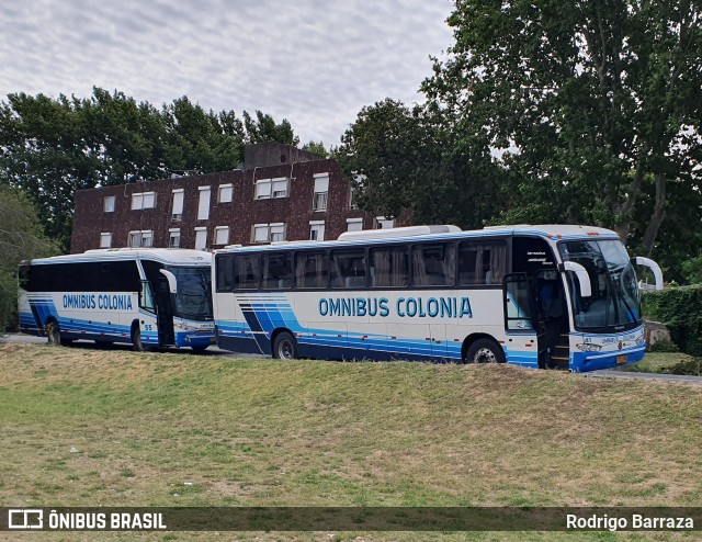 Ómnibus Colonia 41 na cidade de Colonia Del Sacramento, Colonia, Uruguai, por Rodrigo Barraza. Número da foto: #12083047.