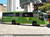 Pássaro Verde 20179 na cidade de Manhuaçu, Minas Gerais, Brasil, por Paulo Eller. Número da foto: #12081375.