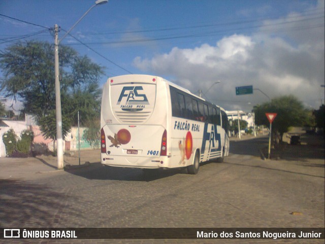 Falcão Real 1401 na cidade de Piritiba, Bahia, Brasil, por Mario dos Santos Nogueira Junior. Número da foto: #12084212.