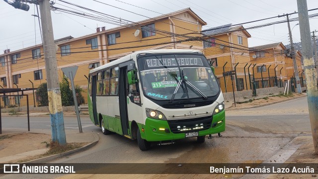 Viña Bus 100 na cidade de Viña del Mar, Valparaíso, Valparaíso, Chile, por Benjamín Tomás Lazo Acuña. Número da foto: #12084877.