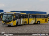 Transportes Capellini 23036 na cidade de Hortolândia, São Paulo, Brasil, por Henrique Alves de Paula Silva. Número da foto: #12141428.
