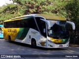 Empresa Gontijo de Transportes 7135 na cidade de São Paulo, São Paulo, Brasil, por Fabricio Zulato. Número da foto: #12141137.
