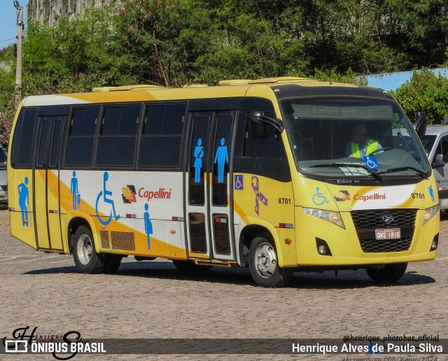 Transportes Capellini 8701 na cidade de Valinhos, São Paulo, Brasil, por Henrique Alves de Paula Silva. Número da foto: #12163397.