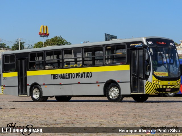 Transportes Capellini 3972 na cidade de Valinhos, São Paulo, Brasil, por Henrique Alves de Paula Silva. Número da foto: #12163366.