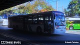 Next Mobilidade - ABC Sistema de Transporte 5405 na cidade de São Bernardo do Campo, São Paulo, Brasil, por Roberto Teixeira. Número da foto: #12162222.