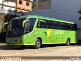 Pássaro Verde 15131 na cidade de Manhumirim, Minas Gerais, Brasil, por Paulo Eller. Número da foto: #12168136.