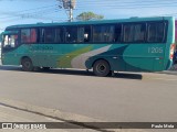 Opinião Turismo e Transporte Coletivo 1205 na cidade de Ribeirão Pires, São Paulo, Brasil, por Paulo Mota. Número da foto: #12165898.