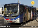 Transportes Capellini 32.077 na cidade de Campinas, São Paulo, Brasil, por Wellington Lima. Número da foto: #12167663.