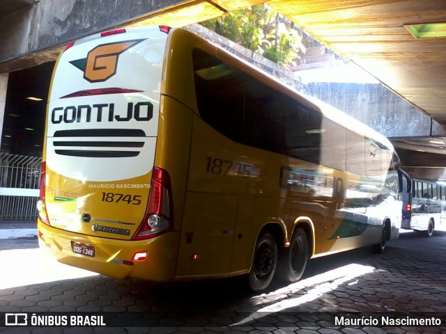 Empresa Gontijo de Transportes 18745 na cidade de Belo Horizonte, Minas Gerais, Brasil, por Maurício Nascimento. Número da foto: #12170558.