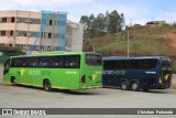 Pássaro Verde 20176 na cidade de Viçosa, Minas Gerais, Brasil, por Christian  Fortunato. Número da foto: #:id.