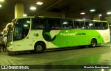 Pássaro Verde 29007 na cidade de Belo Horizonte, Minas Gerais, Brasil, por Maurício Nascimento. Número da foto: #:id.